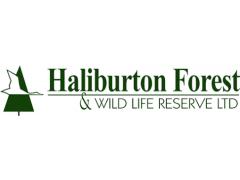 Human Resources Coordinator at Haliburton Forest Group