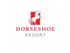 Ski Lift Mechanic at Horseshoe Resort